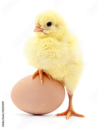 Chicken and egg.