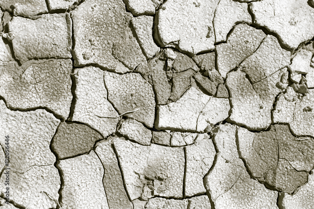 Obraz premium cracked earth as a background. texture