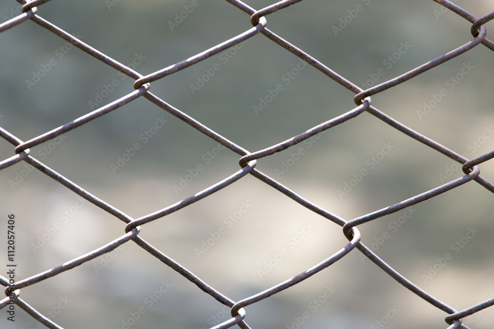 Fototapeta premium metal mesh in nature as a background