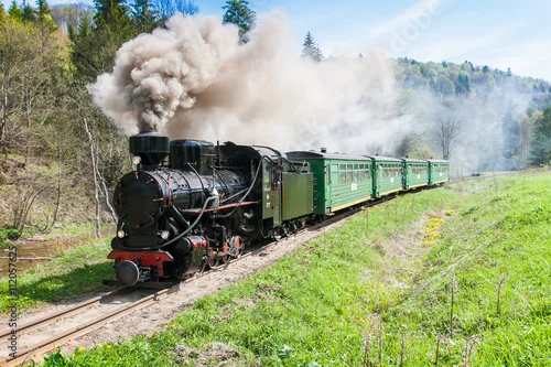 Obraz Bieszczadzka kolej wąskotorowa