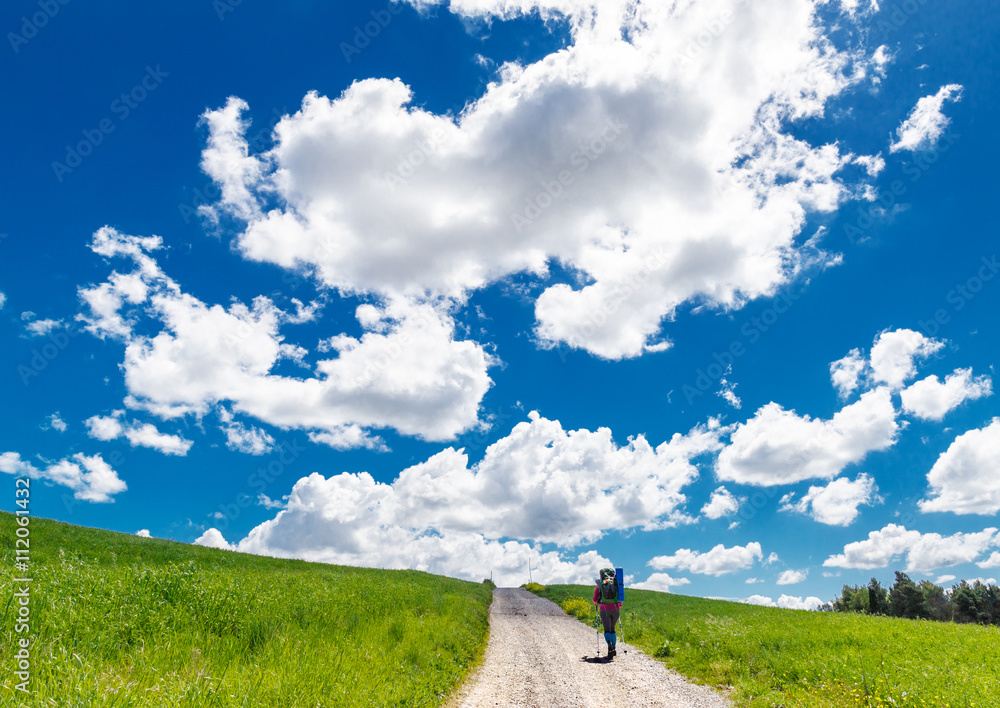Female backpacker going away through idyllic landscape Female backpacker going away through idyllic landscape