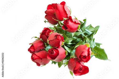 roses isolated on white
