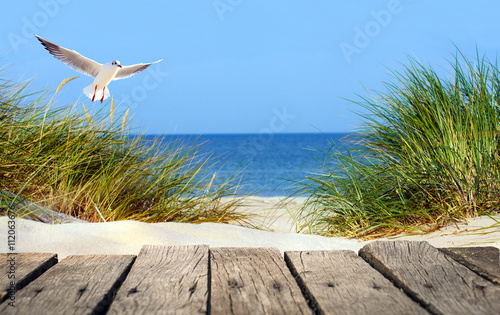 Fototapeta Morze Bałtyckie plaża z drewnianym molo, wydmami i seagull