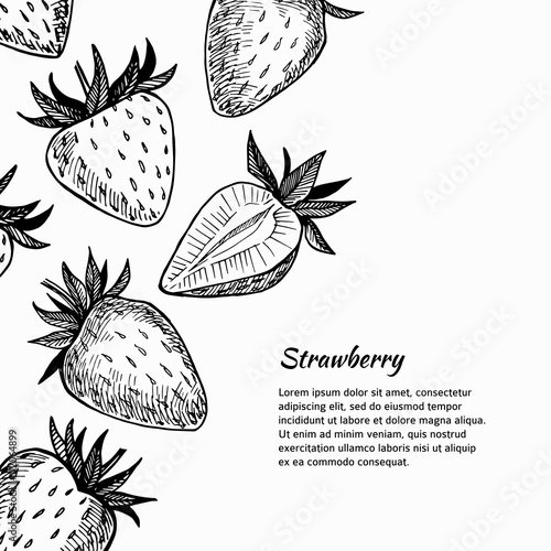 Hand-drawn vector illustration. Card or banner with strawberry.