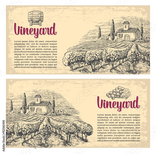 Rural landscape with villa, vineyard fields and hills. 