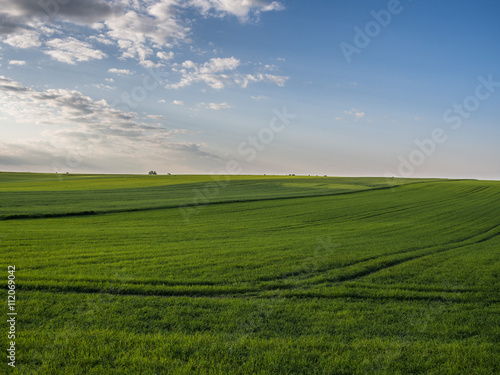 Linia horyzontu nad zielonymi polami uprawnymi © jakubczajkowski
