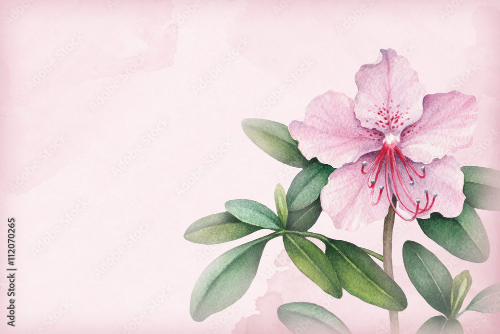 Fototapeta premium Background with watercolor flowers. Perfect for greeting cards