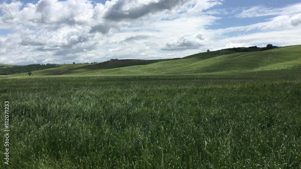 A windy day with sun and clouds in the countryside near Siena in Tuscany during spring A windy day with sun and clouds in the countryside near Siena in Tuscany during spring