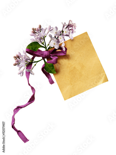 Paper tag with bow and lila...