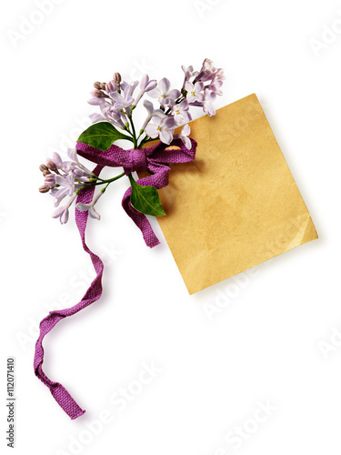 Paper tag with bow and lila...