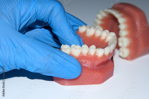 dentist hand show dental teeth model jaw in laboratory