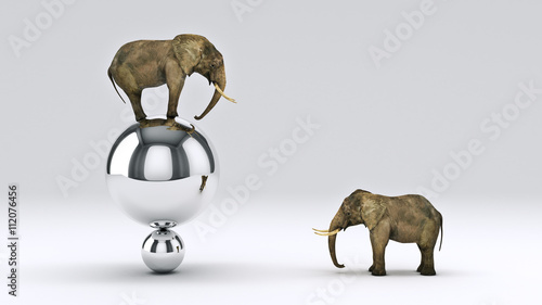 elephant and ball. 3D rendering