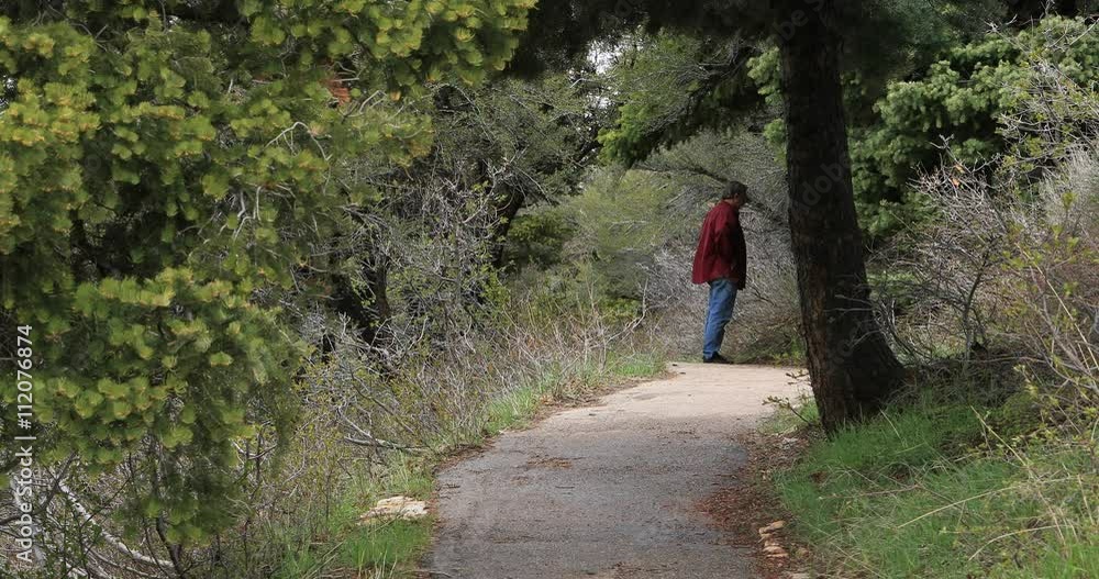 Man walks forward mountain forest trail in spring. Wasatch Mountain range, Mount Nebo Loop National Scenic Byway. Road and trails for driving, walking and hiking in beautiful nature landscape. Man walks forward mountain forest trail in spring. Wasatch Mountain range, Mount Nebo Loop National Scenic Byway. Road and trails for driving, walking and hiking in beautiful nature landscape.