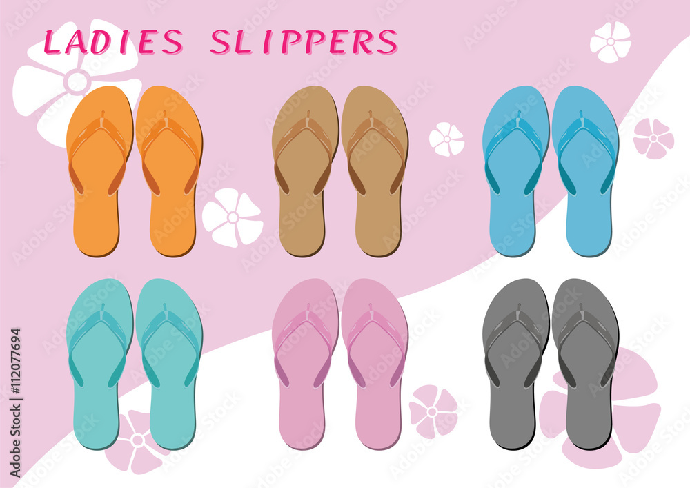 Ladies slippers on the background two tone color