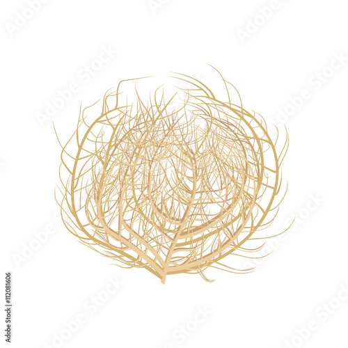 Tumbleweed vector illustration .
