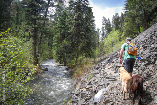 Man hiking with his dogs in the Montana wilderness