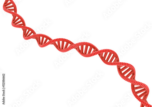 Red DNA