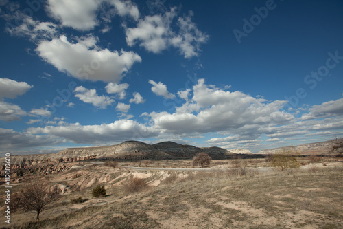 stone desert