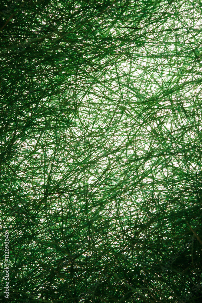 Fototapeta premium Natural sisal