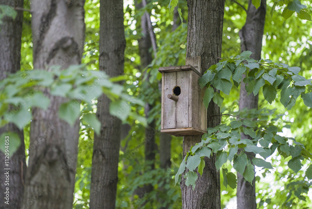 Nesting box or birfhouse on the tree in the park