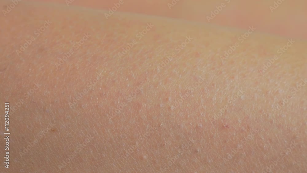Woman legs texture 4K 2160p UHD close-up panning footage - Human leg close up texture in 4K 3840X2160 UHD video Woman legs texture 4K 2160p UHD close-up panning footage - Human leg close up texture in 4K 3840X2160 UHD video