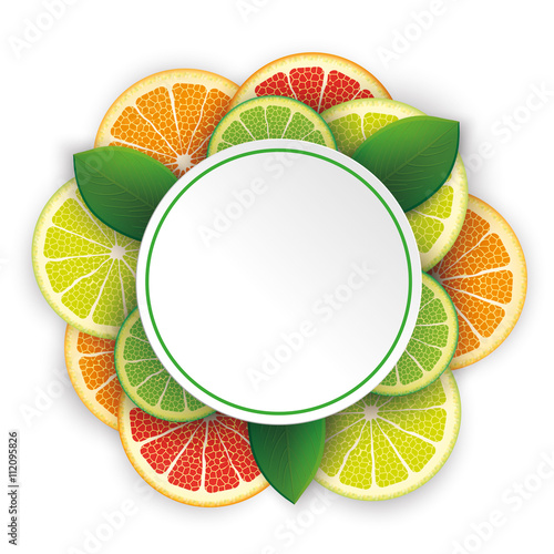 Circle Banner Citrus Fruits Shadows