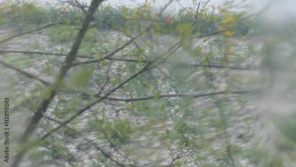 Hurricane heavy rain with hail Hurricane heavy rain with hail