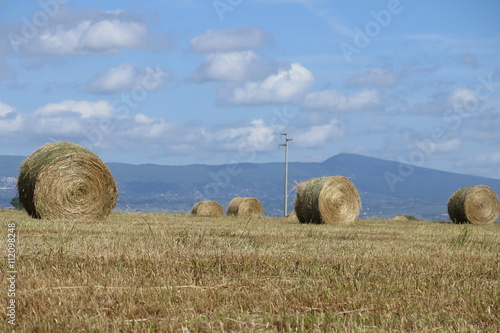 rotoli balle di fieno