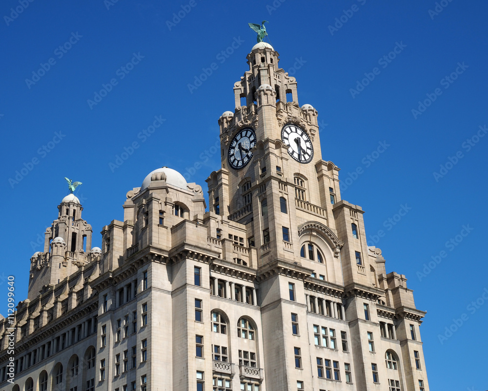 Fototapeta premium Liver Building