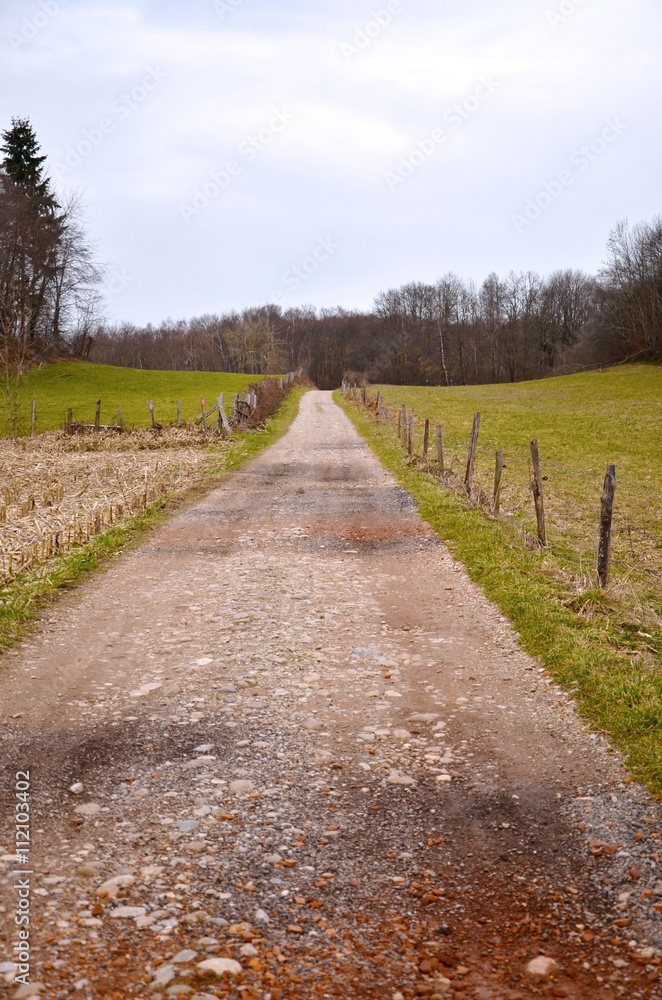 Sentier de terre (Voironnais / Isère) Sentier de terre (Voironnais / Isère)