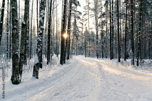 Winter sunny day © annatronova