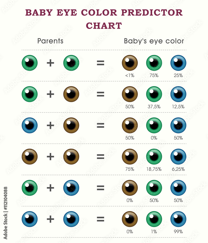 Baby eye color predictor chart template Stock Vector | Adobe Stock