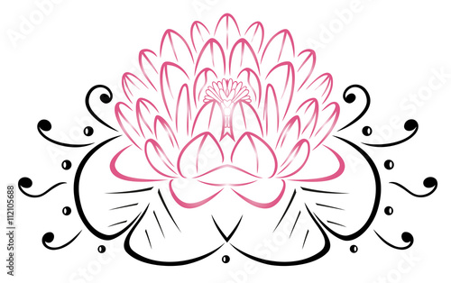 Große Lotusblume, Seerose mit Blättern. Yoga, Wellness.
