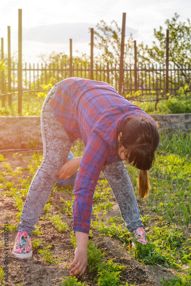 Woman busy weeding her vegetable patch