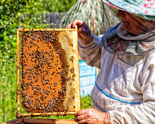 Frame with honeycombs with honey in the beekeeper's hands on an apiary