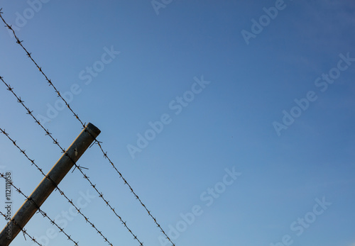Wallpaper Mural Barbed wire against of clear blue sky Torontodigital.ca
