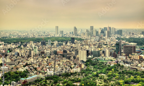 Aerial view of Tokyo © Leonid Andronov