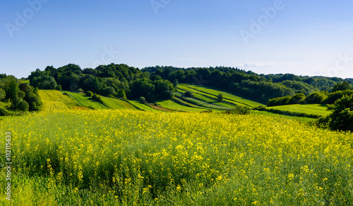 Fotografia Beauty green hills in Poland