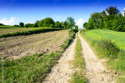 Countryside landscape during late spring