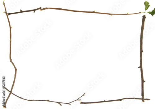 Frame of twigs on white background. Abstract natural frame made of branches on isolated background. Frame of thin tree branches with leaves on a white background. 