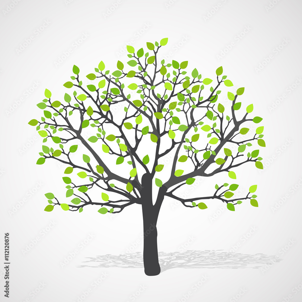 Abstract nature background. Abstract nature background.