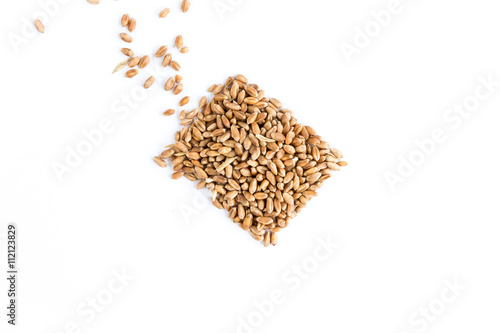 Wheat seeds isolated on white. Square. Flat lay. Pour in.