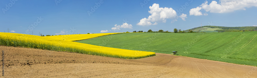 panorama with yellow rape and green field's under sky clouds in Slovakia 