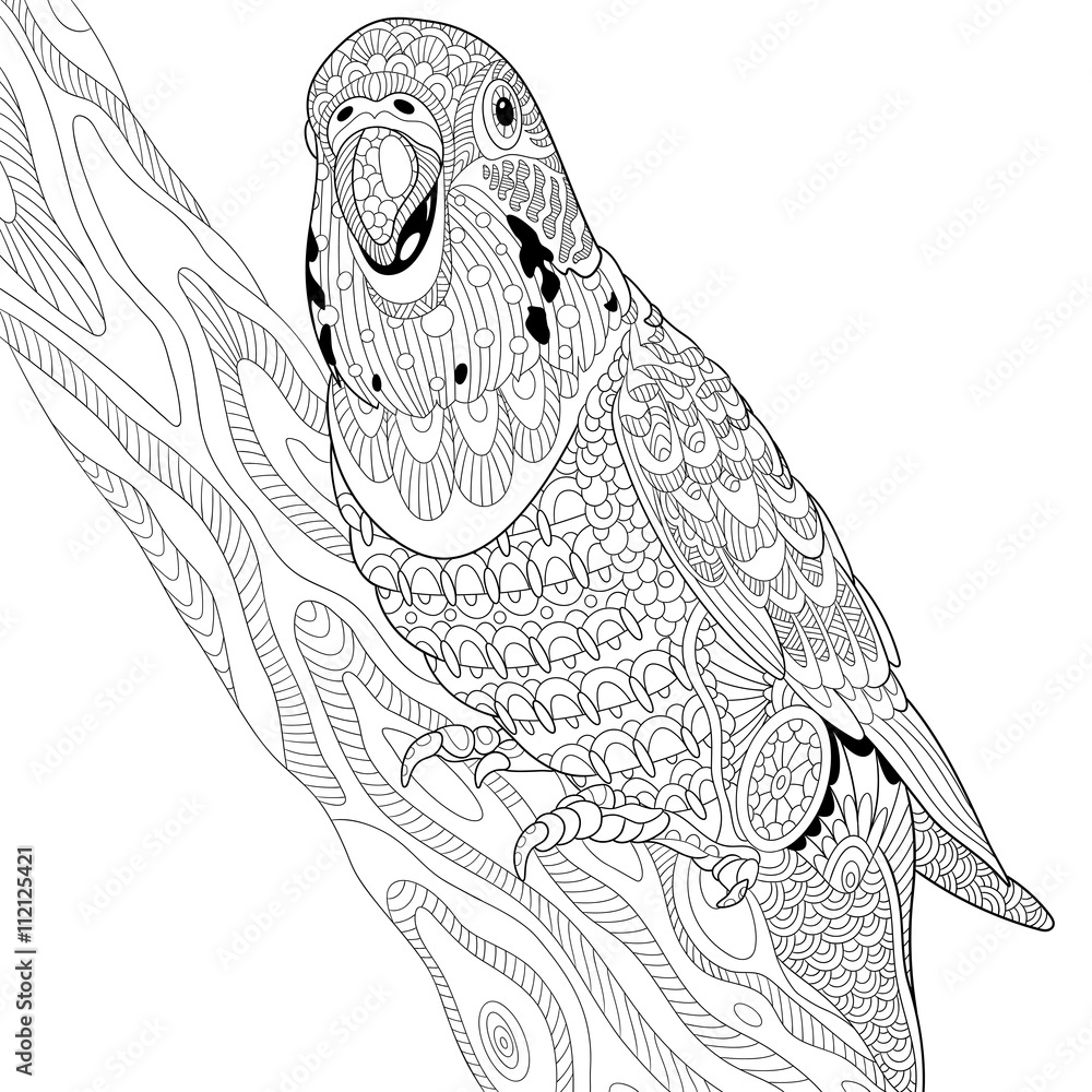 Zentangle stylized cartoon budgie parrot sitting on tree branch. Hand drawn  sketch for adult antistress coloring page, T-shirt emblem, logo or tattoo  with doodle, zentangle, floral design elements. Stock Vector | Adobe