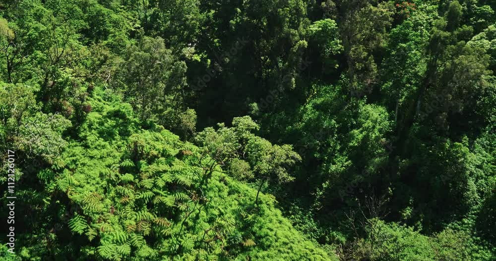 Aerial view flying over amazing waterfall pool in tropical rain forest jungle Aerial view flying over amazing waterfall pool in tropical rain forest jungle