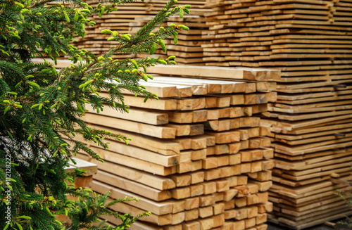 young branches of living trees and Stack of new wooden studs at the lumber yard. Wood timber construction material