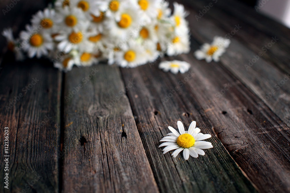 Obraz premium Fresh chamomile flowers on the wooden table