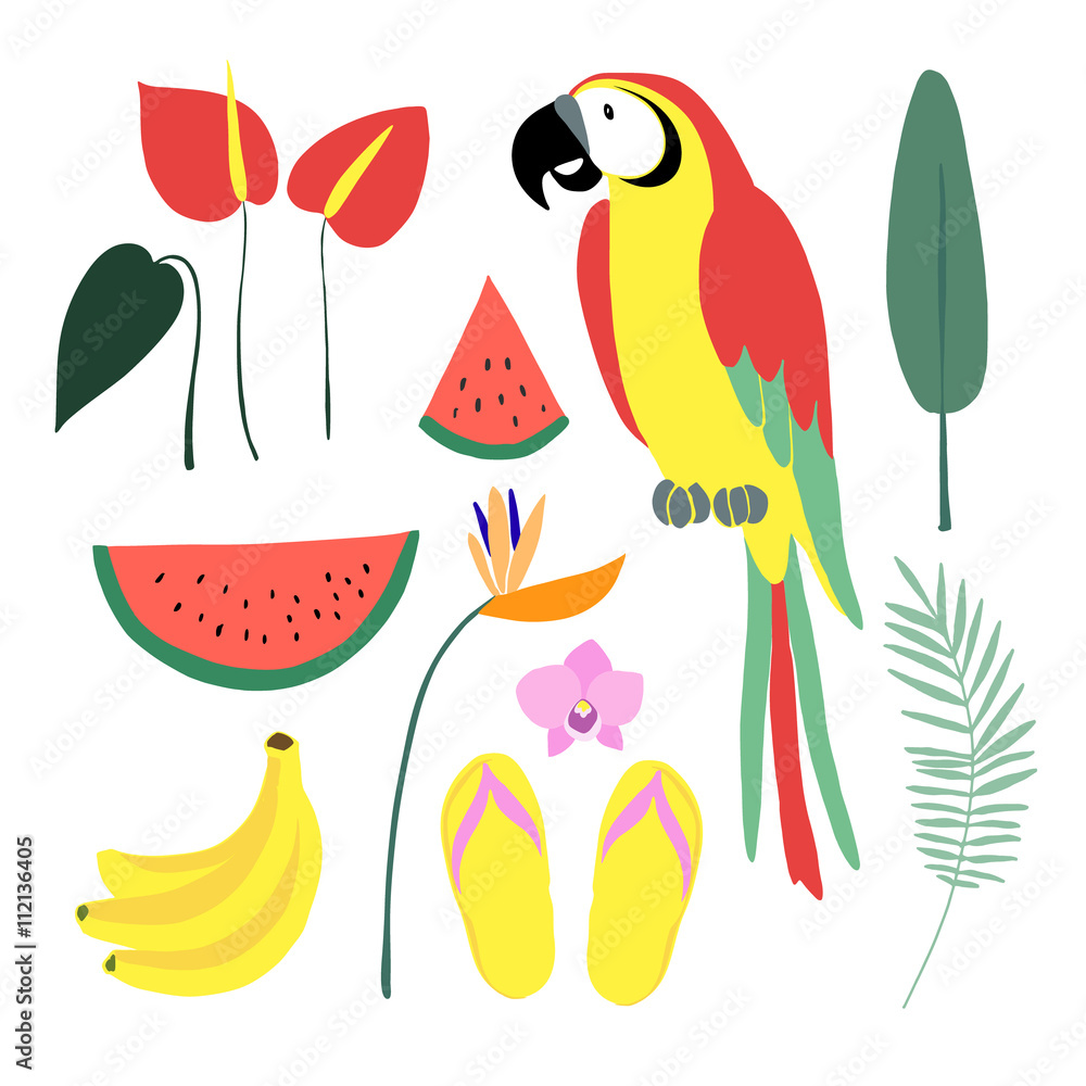 Summer tropical graphic elements. Parrot bird. Jungle floral illustrations, palm leaves, orchid, flower, watermelon,banana fruit