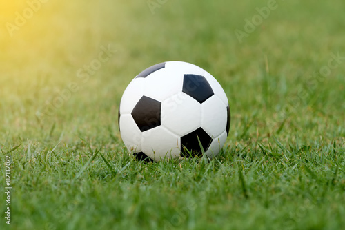 Soccer ball and Football on grass at football stadium in the sun