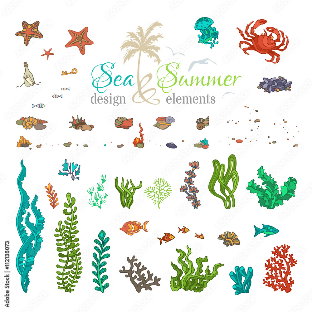 Vector set of underwater sea life design elements. Vector set of underwater sea life design elements.